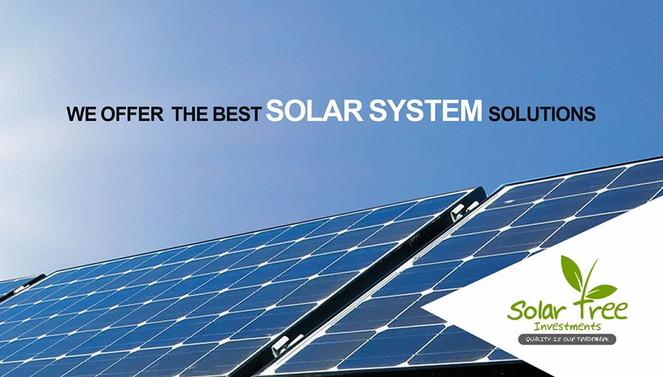 solar tree Botswana cover