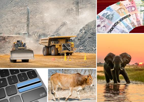 Collage of Botswana's economic strengths: diamond mining equipment, Okavango Delta elephant for tourism, Botswana currency for finance, MacBook with Botswana flag for technology, and cattle for agriculture.