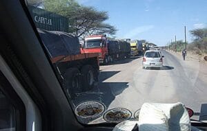 Heavy trucks lined up at a Botswana border checkpoint, illustrating cross-border freight movement and customs processing delays